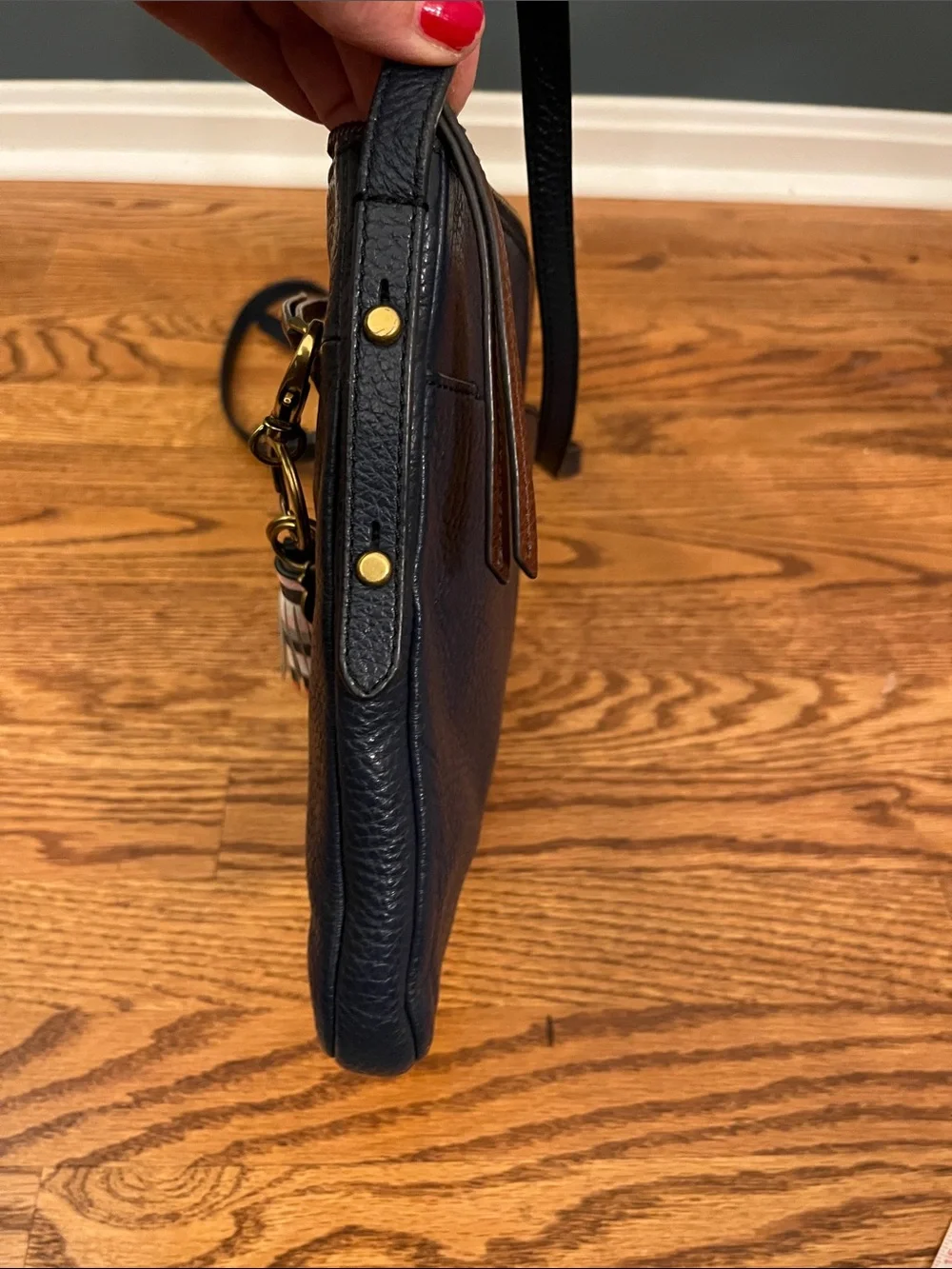 Fossil euc beautiful